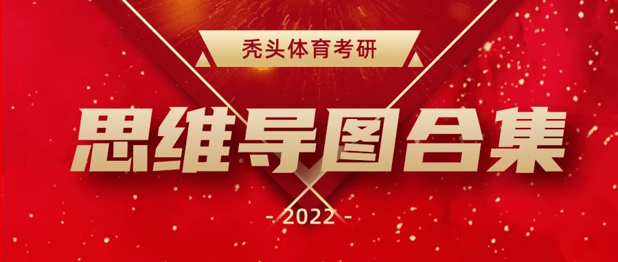 篮球教练如何制定总决赛的长期发展计划_1